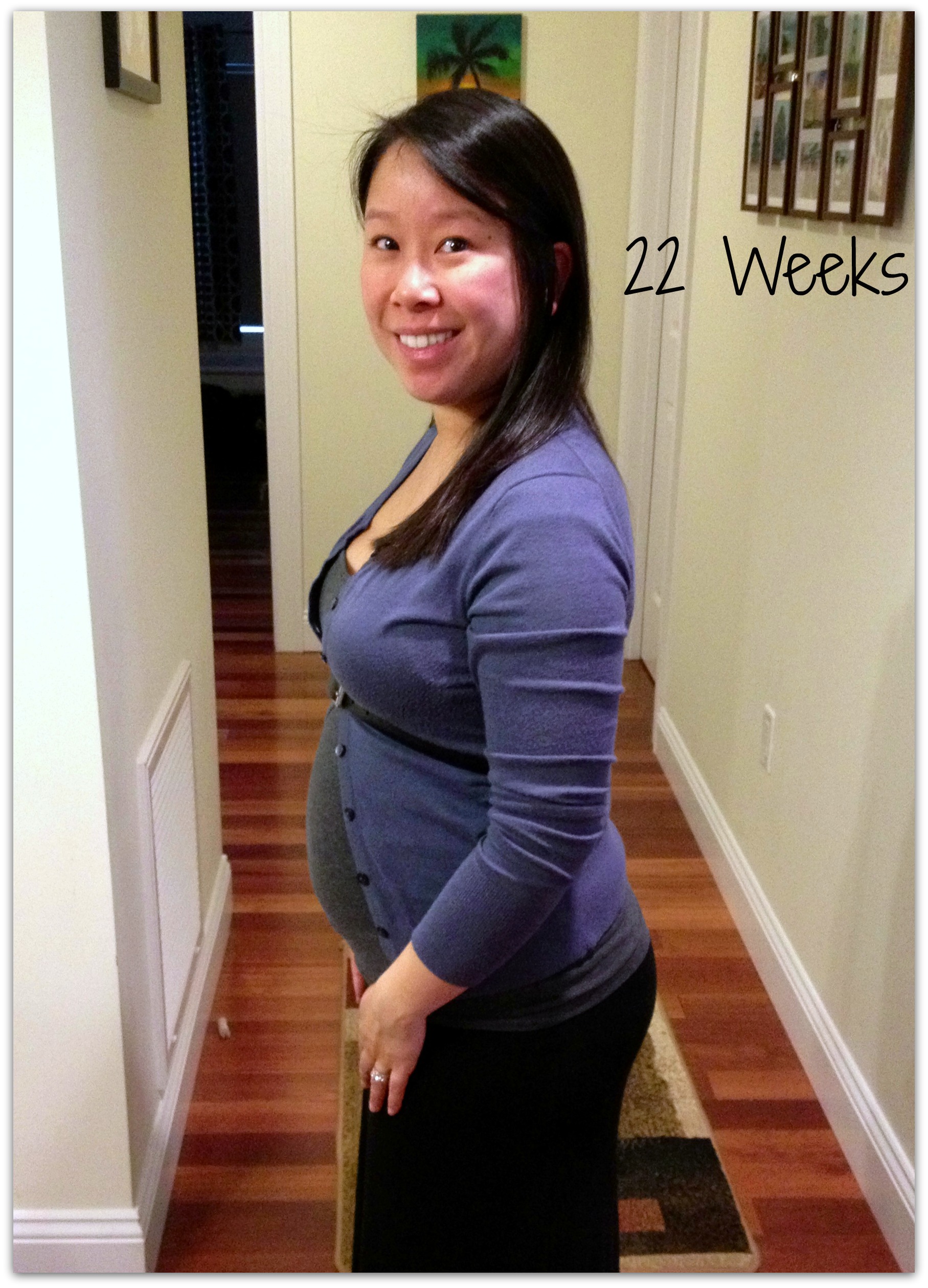 22 Weeks: Pregnancy Update | cutedogsandhugs1815 x 2520